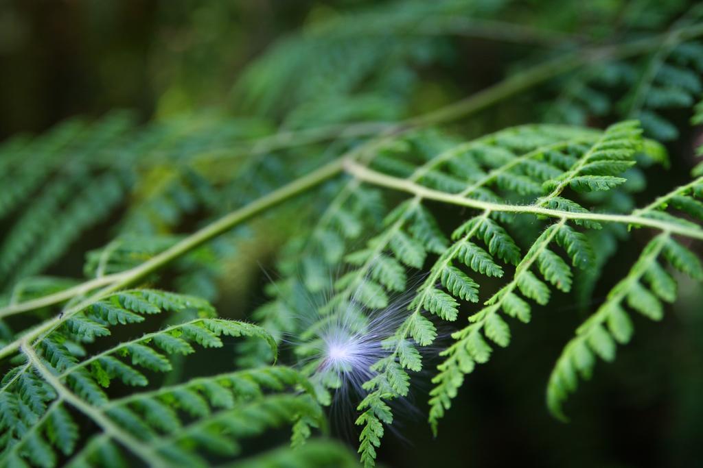 Forest Edge Rheenendal Zewnętrze zdjęcie